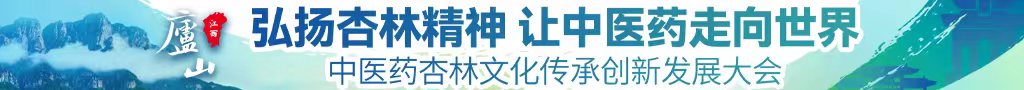 国产搞逼网站中医药杏林文化传承创新发展大会